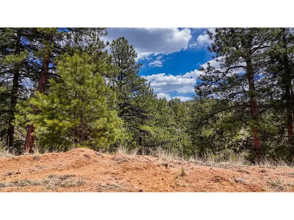 16 View, Florissant, CO 80816