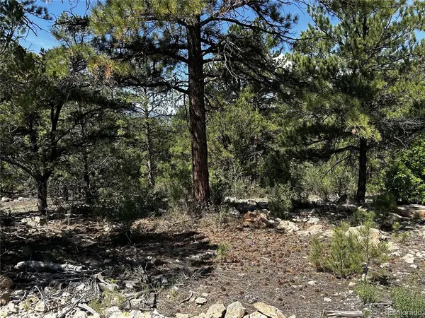 1380 Oak, Westcliffe, CO 81252