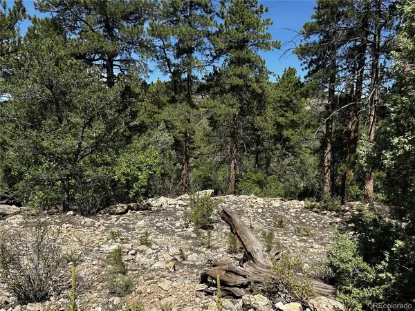 1380 Oak, Westcliffe, CO 81252