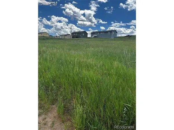 1298 Will Scarlet, Divide, CO 80814