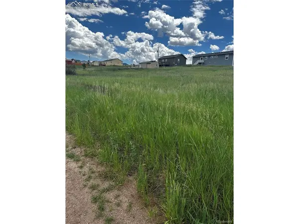 1298 Will Scarlet, Divide, CO 80814