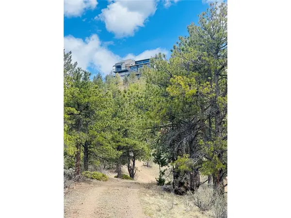 Lots 1 & 2 Gertrude Edgardine, Idaho Springs, CO 80452
