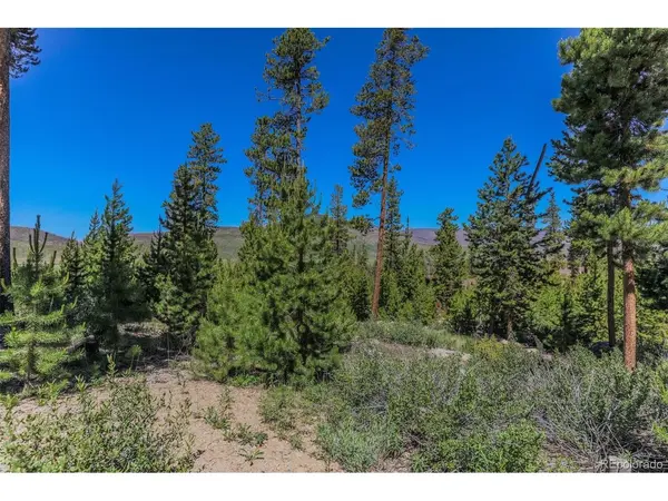 493 County Road 4632, Grand Lake, CO 80447