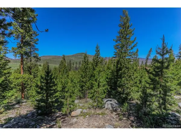 493 County Road 4632, Grand Lake, CO 80447