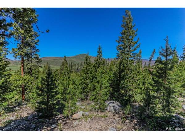 493 County Road 4632, Grand Lake, CO 80447