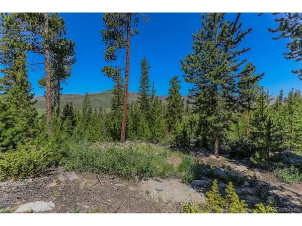 493 County Road 4632, Grand Lake, CO 80447