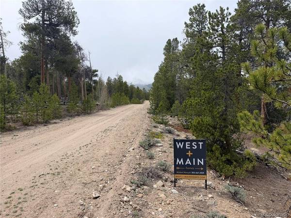 341 Lodgepole, Leadville, CO 80461