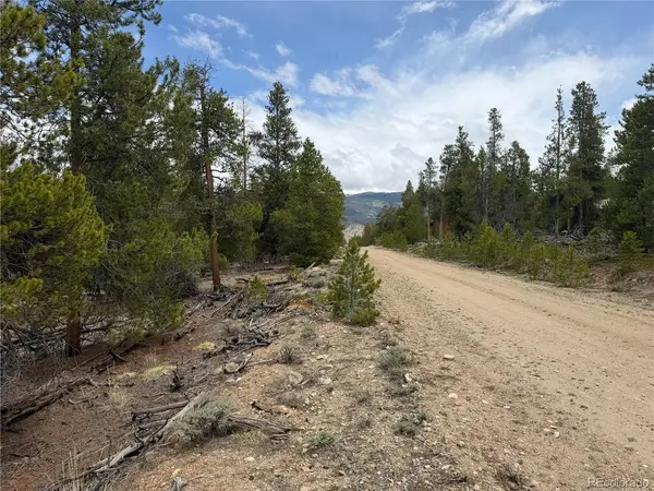 341 Lodgepole, Leadville, CO 80461