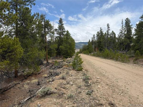 341 Lodgepole, Leadville, CO 80461