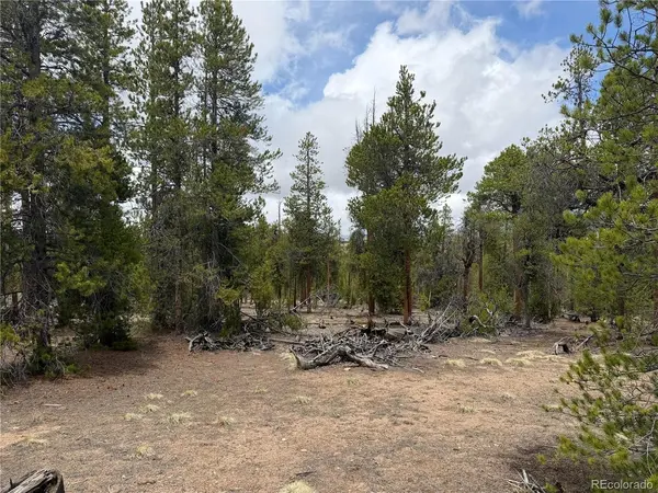 341 Lodgepole, Leadville, CO 80461