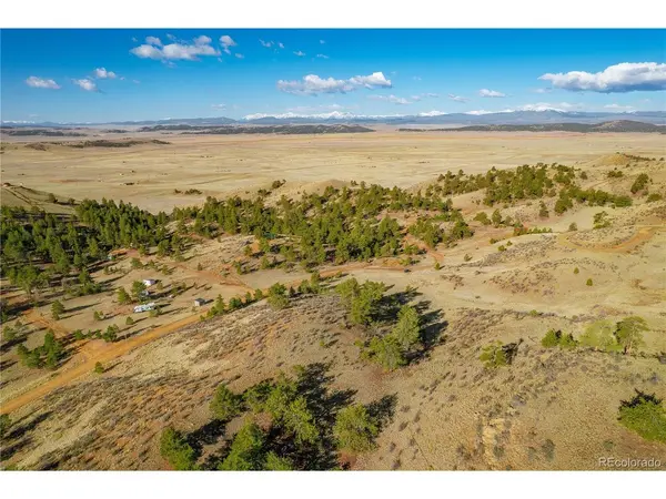 Birch, Hartsel, CO 80449