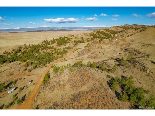 Birch, Hartsel, CO 80449