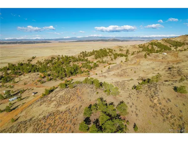 Birch, Hartsel, CO 80449