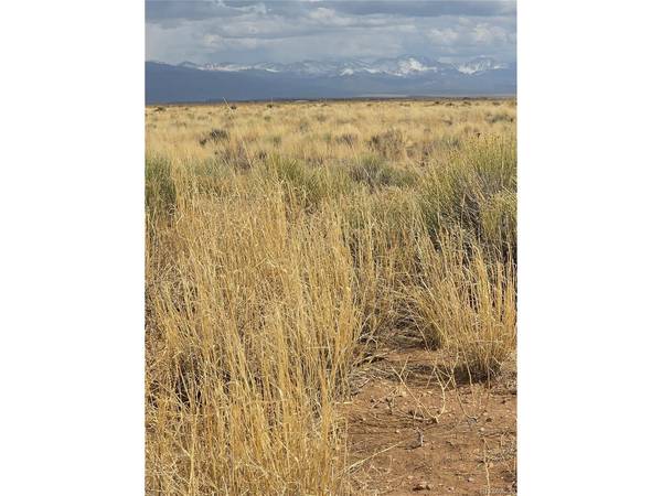 17 E Denver Rd., Blanca, CO 81123
