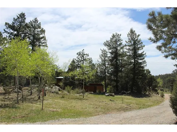 234 Panorama, Bailey, CO 80421