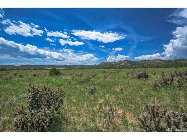 Trinidad, CO 81082
