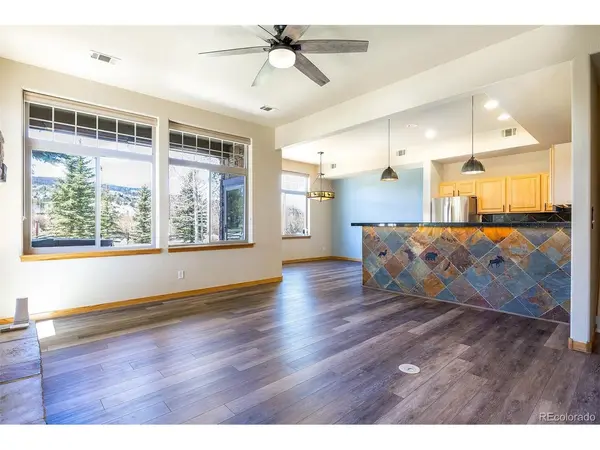 170 Allegra #170, Silverthorne, CO 80498