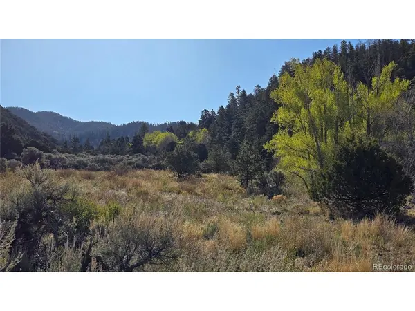 5475 Joy, Fort Garland, CO 81133