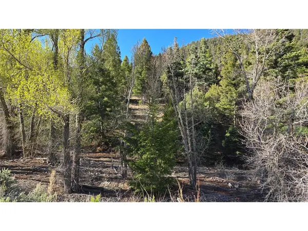 5475 Joy, Fort Garland, CO 81133