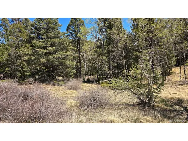 5817 Balleroy & Covington, Fort Garland, CO 81133
