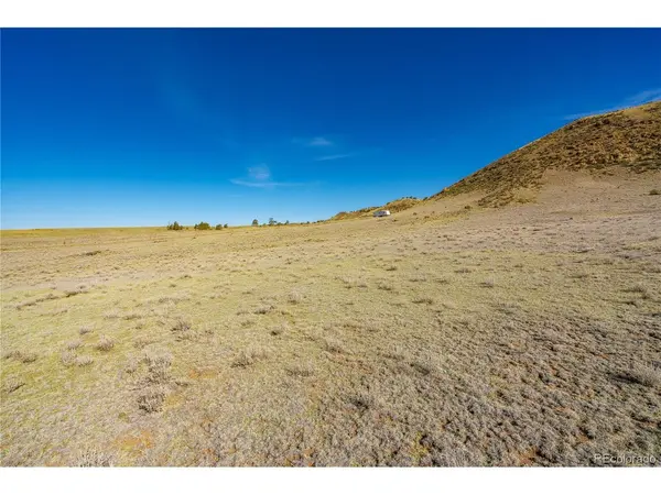 0 Willow, Hartsel, CO 80449