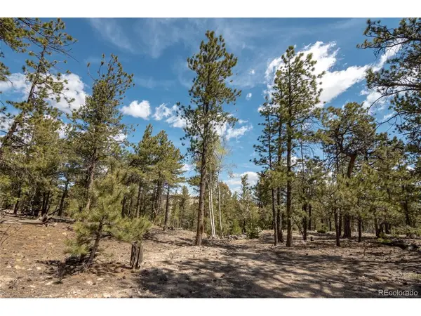 75 Whip, Hartsel, CO 80449