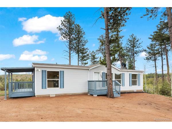 100 Wolverine, Florissant, CO 80816