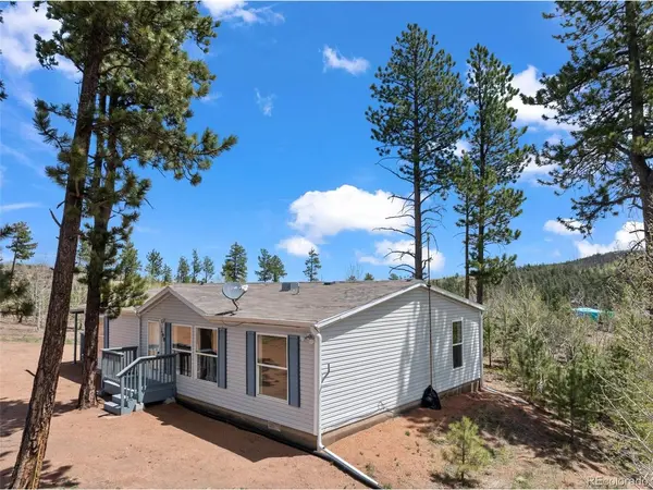 100 Wolverine, Florissant, CO 80816