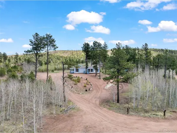 100 Wolverine, Florissant, CO 80816