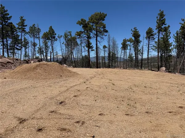 1154 Bluhdorn, Fort Garland, CO 81133