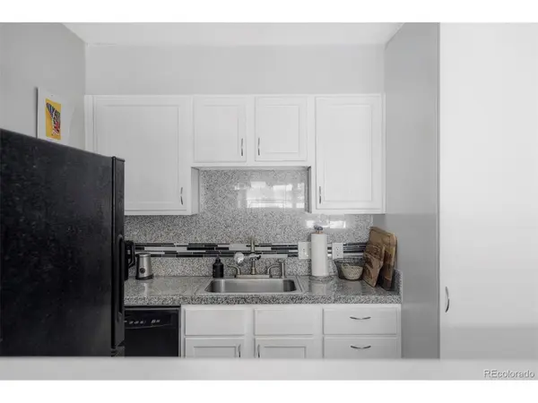 1050 N Corona #112, Denver, CO 80218