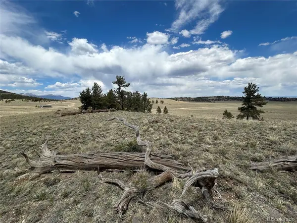 591 Singletree, Hartsel, CO 80449