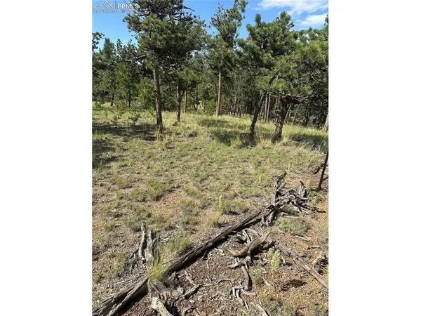 315 Thunder Ridge, Florissant, CO 80816