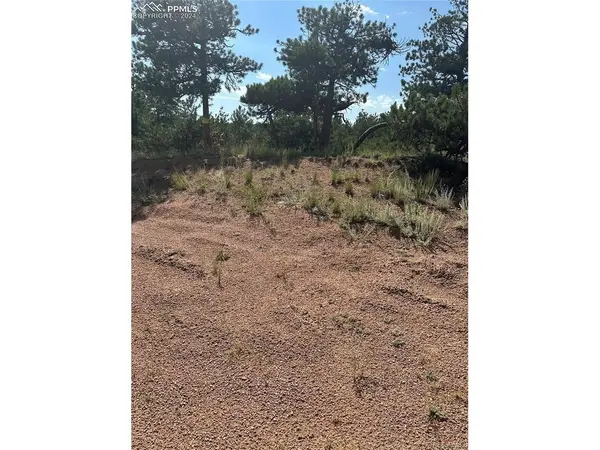315 Thunder Ridge, Florissant, CO 80816