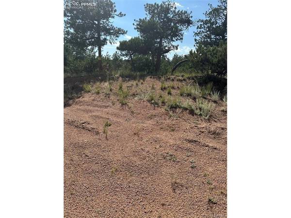 315 Thunder Ridge, Florissant, CO 80816