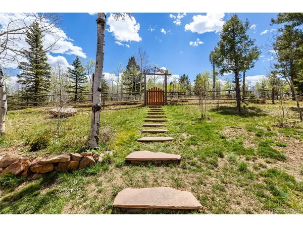 153 Moss Rock, Divide, CO 80814