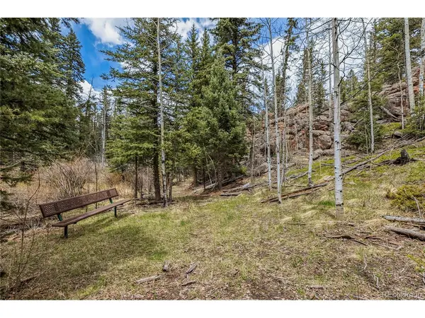 153 Moss Rock, Divide, CO 80814