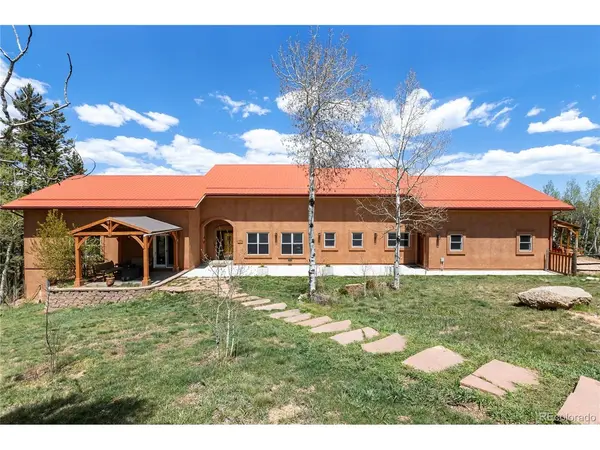 153 Moss Rock, Divide, CO 80814