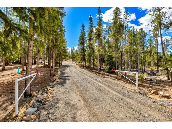 265 Placer, Alma, CO 80420