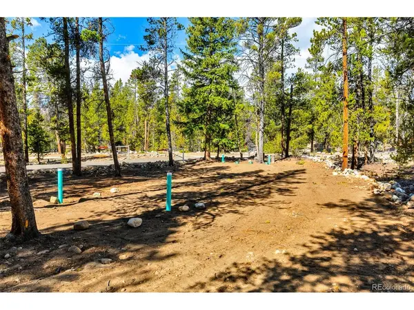 265 Placer, Alma, CO 80420