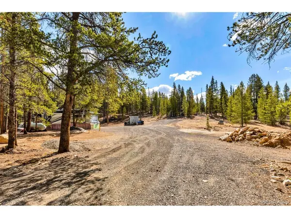 265 Placer, Alma, CO 80420