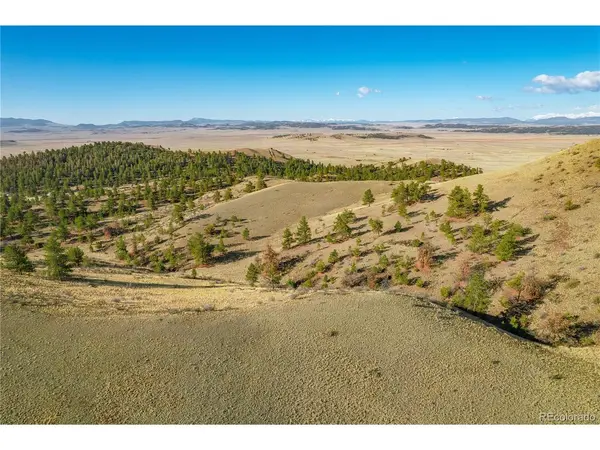 Willow, Hartsel, CO 80449