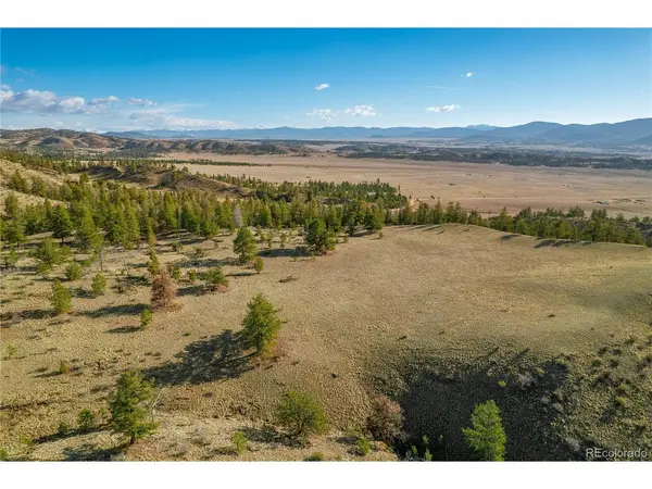 Willow, Hartsel, CO 80449