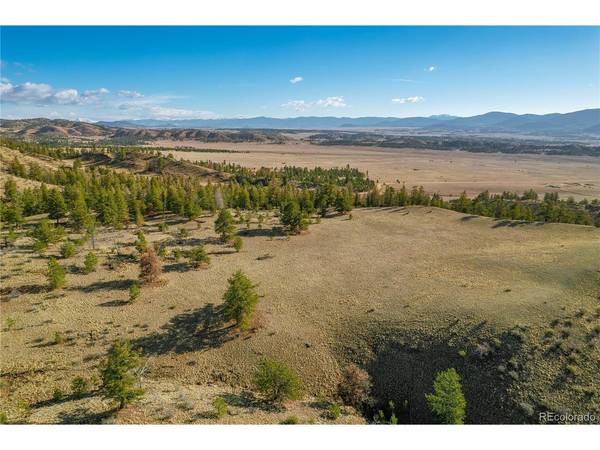 Willow, Hartsel, CO 80449