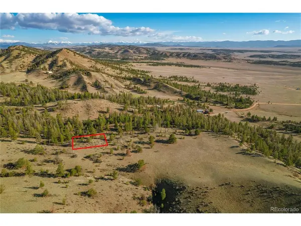 Willow, Hartsel, CO 80449