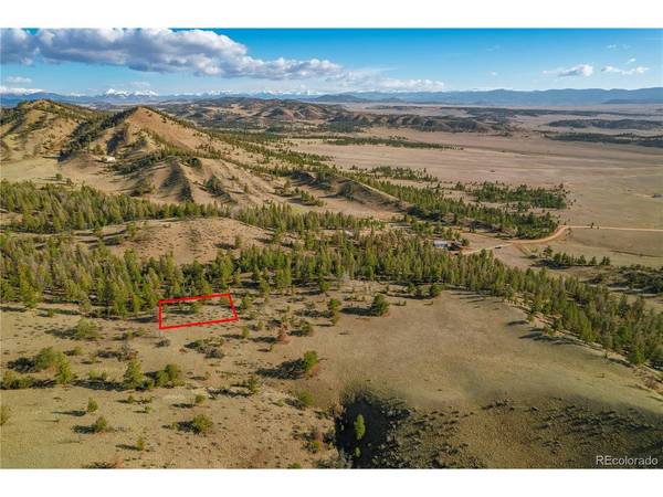Willow, Hartsel, CO 80449
