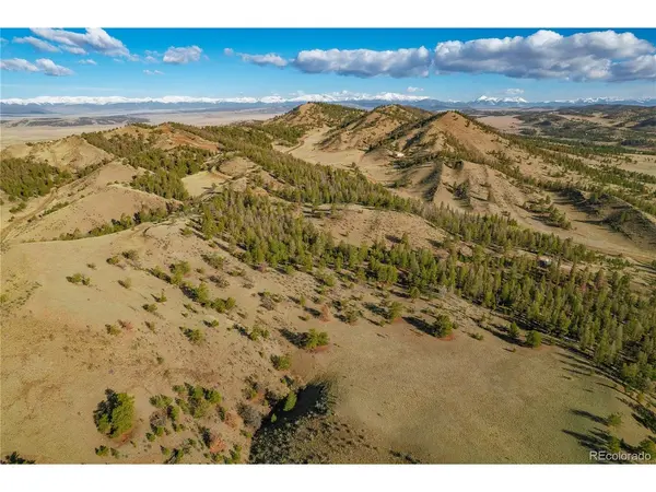 Willow, Hartsel, CO 80449
