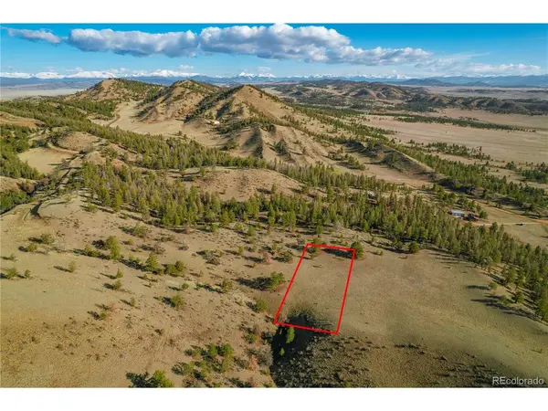 Willow, Hartsel, CO 80449