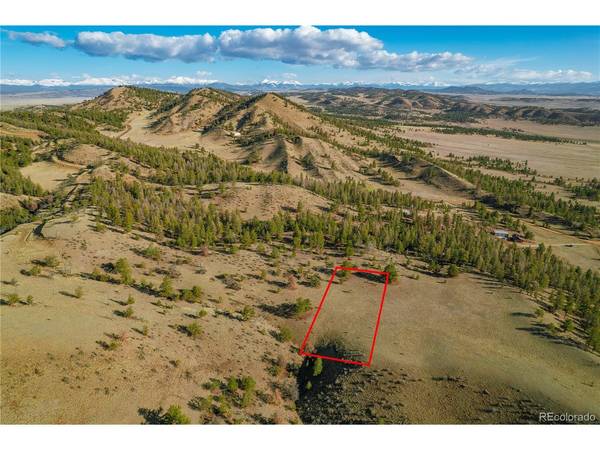 Willow, Hartsel, CO 80449