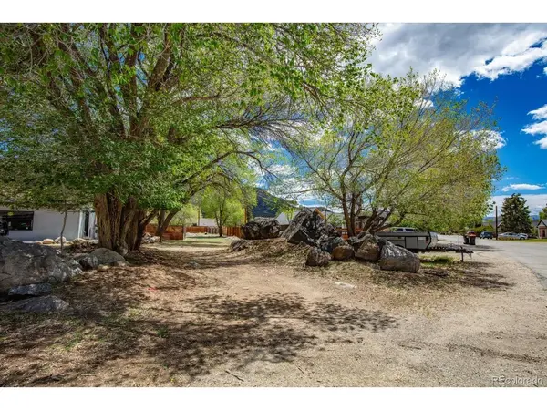 0 S Colorado, Buena Vista, CO 81211